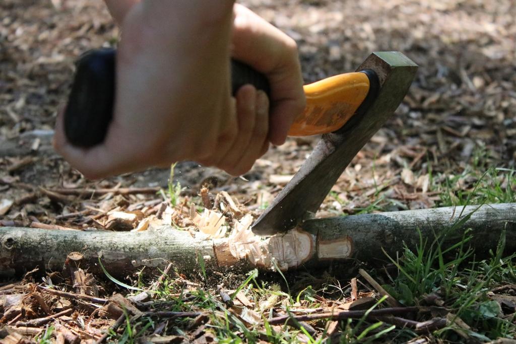 AuLa 18: Die 7 Zwerge