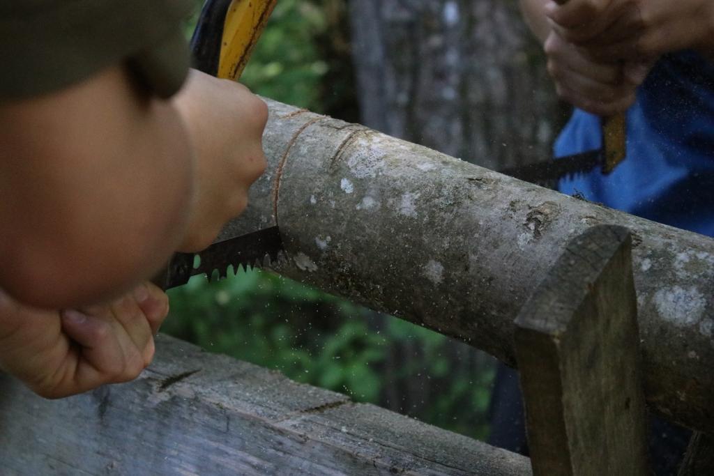 AuLa 18: Die 7 Zwerge