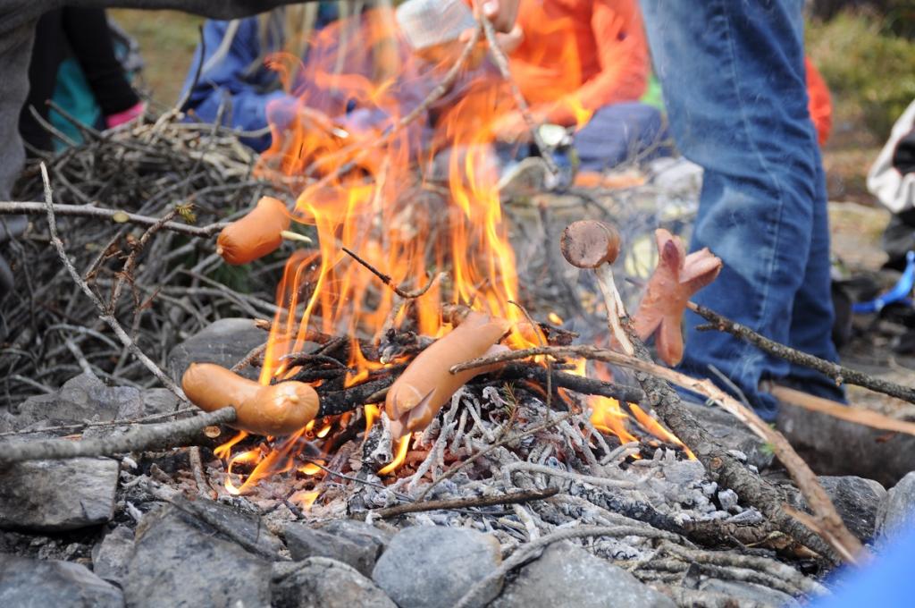 HeLa 18: Asterix & Obelix