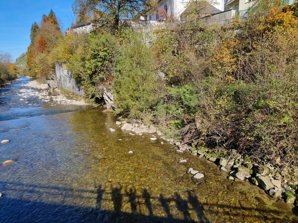 HeLa 22: Ramba Zamba