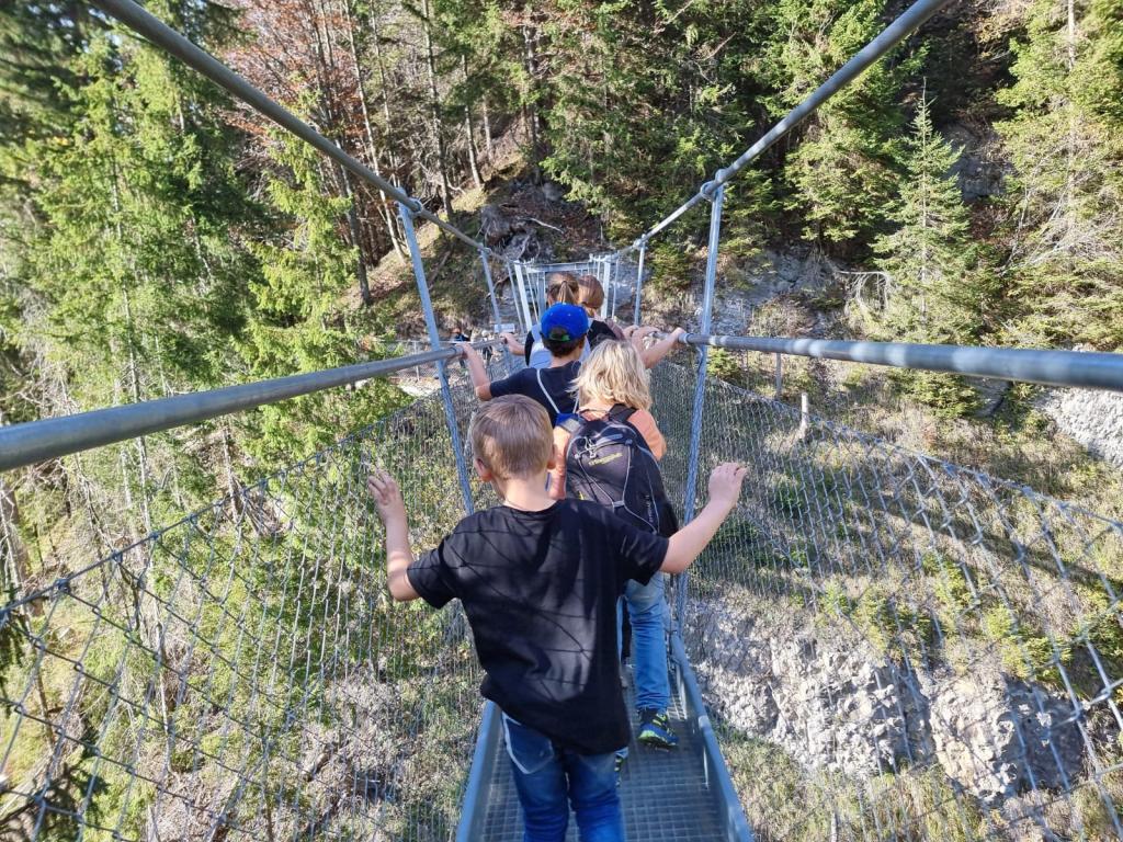 HeLa 22: Ramba Zamba