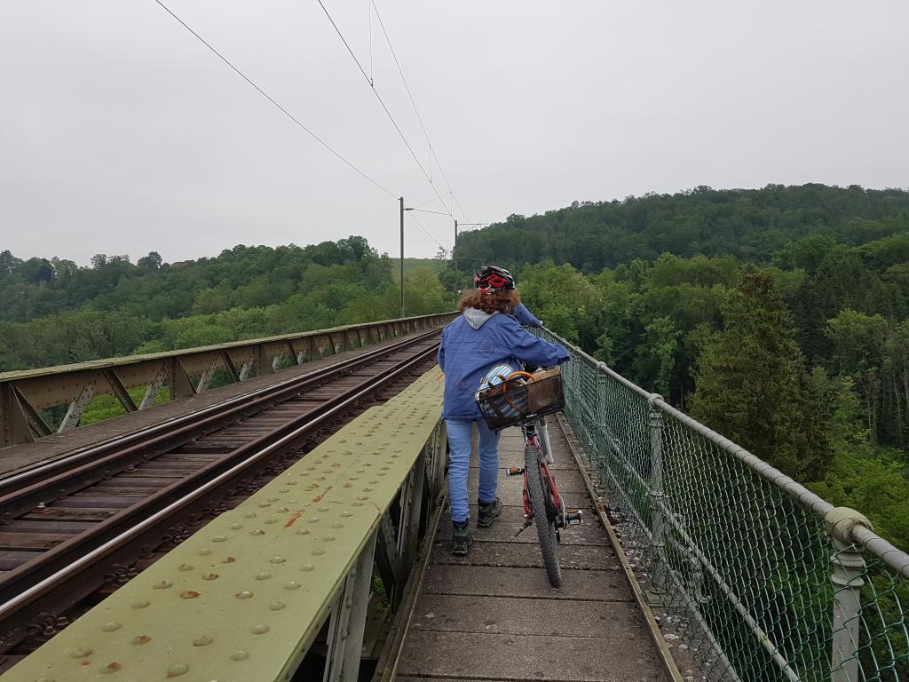 PfiLa 19: Robin Hood