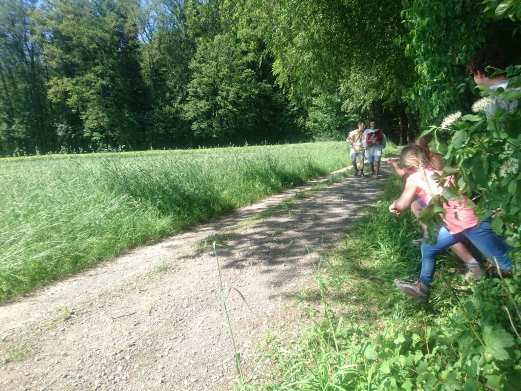 PfiLa 19: Robin Hood