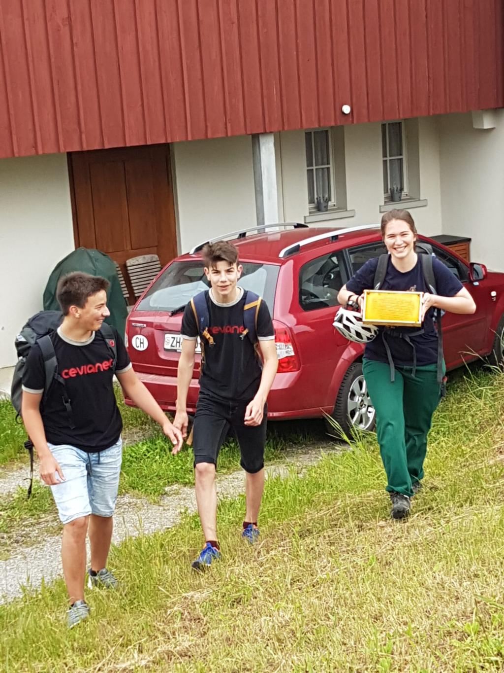 PfiLa 19: Robin Hood