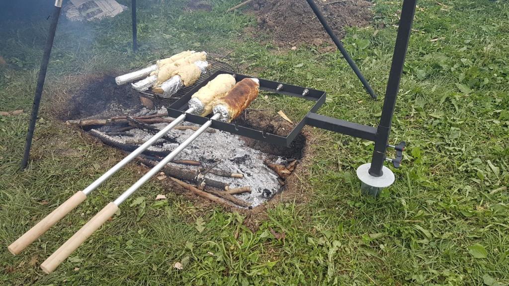 WS SoLa 17: Nikola Tesla