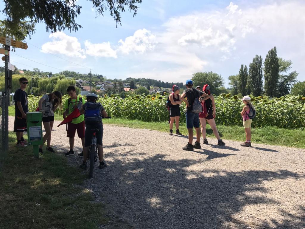 WS SoLa 17: Nikola Tesla