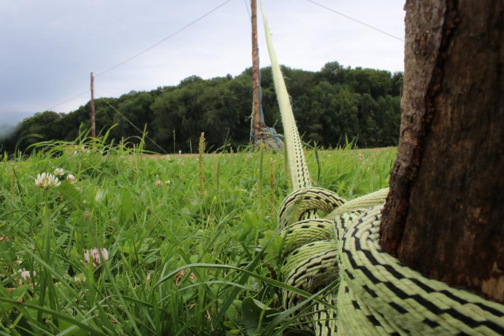 WS SoLa 17: Nikola Tesla