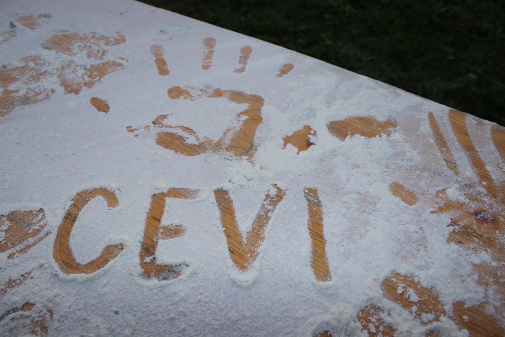 WS SoLa 17: Nikola Tesla