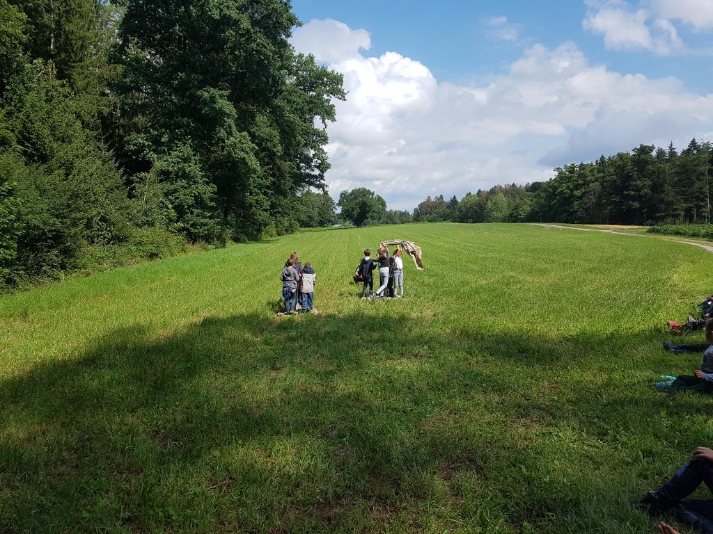 SoPro 20: Wickie und die starken Wikinger