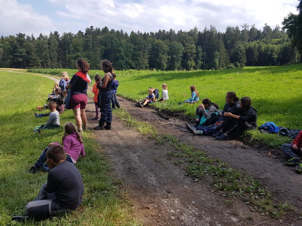 SoPro 20: Wickie und die starken Wikinger