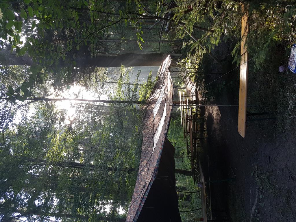 SoPro 20: Wickie und die starken Wikinger