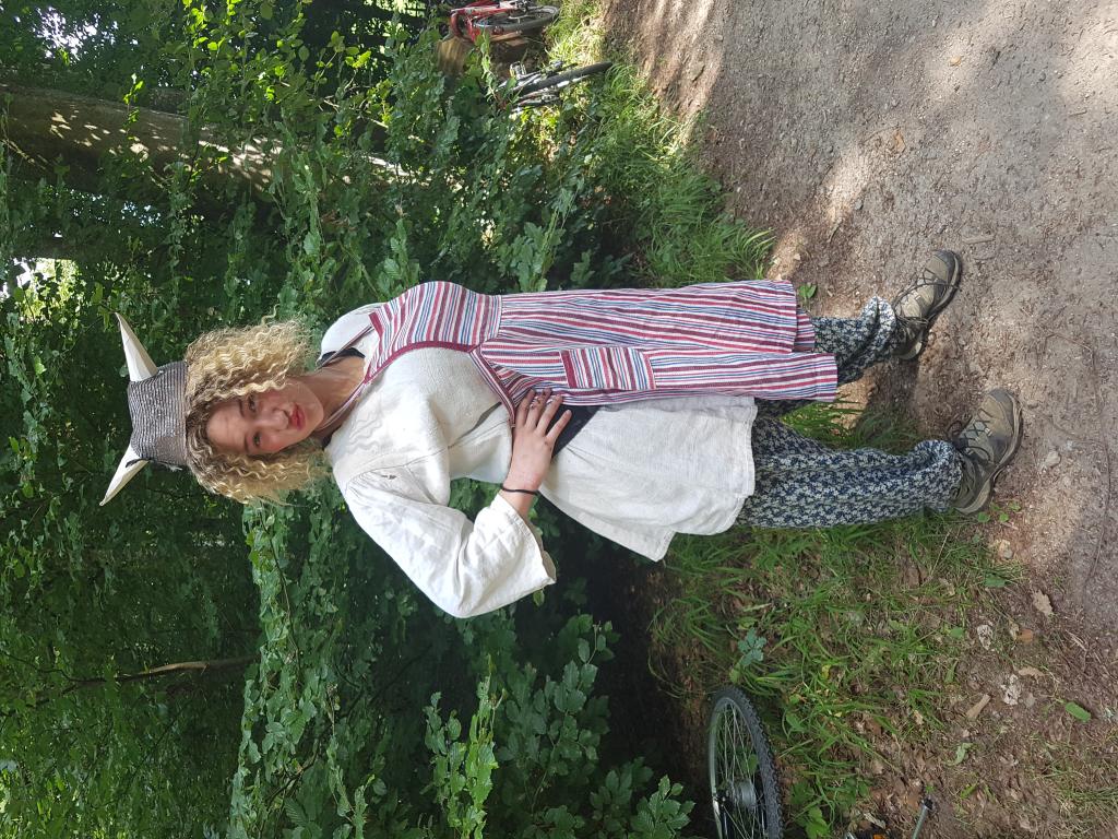 SoPro 20: Wickie und die starken Wikinger