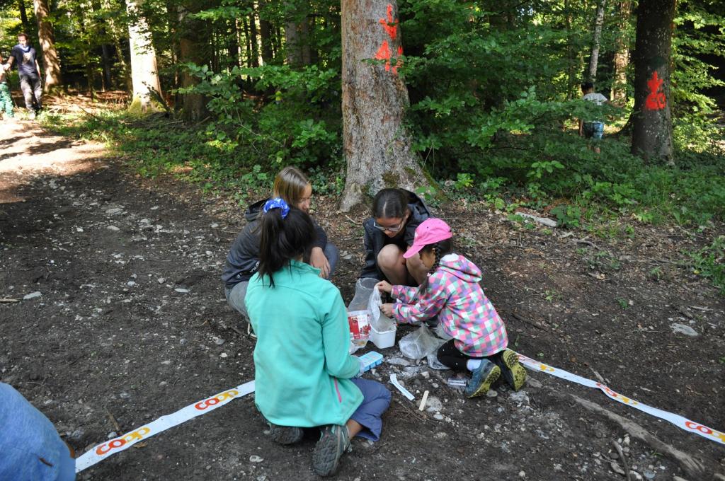 SoPro 20: Wickie und die starken Wikinger