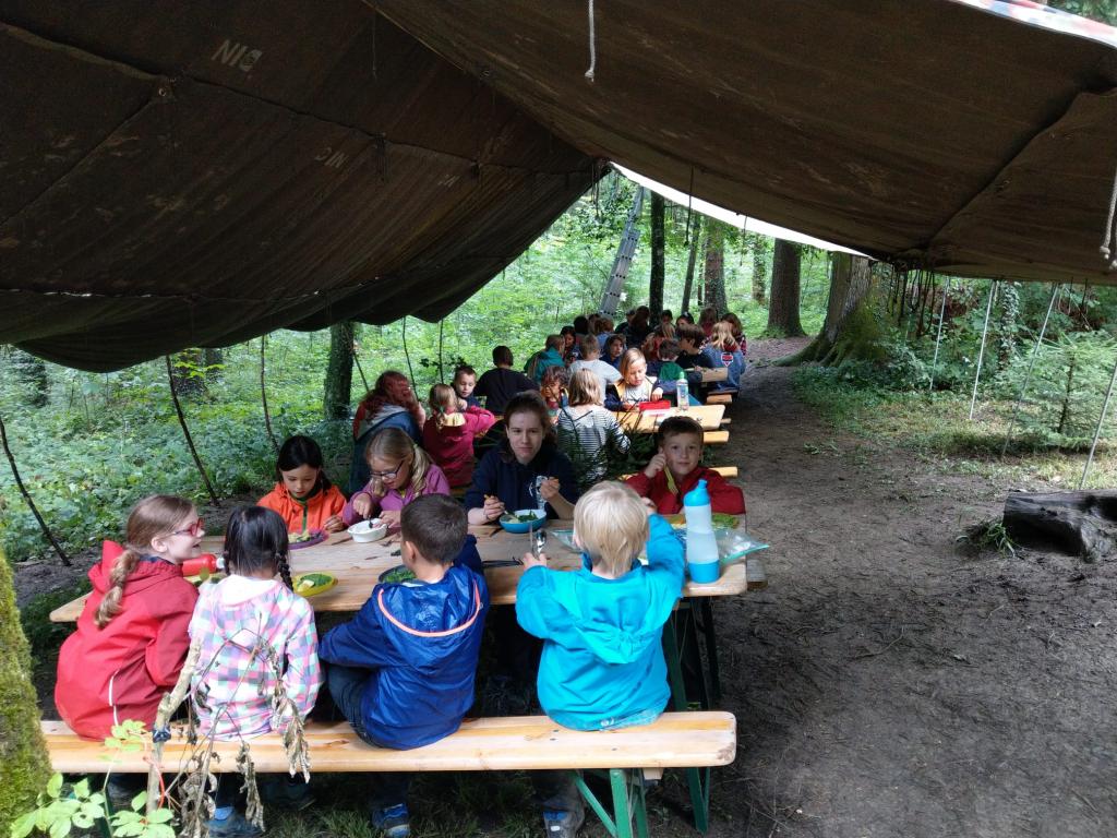 SoPro 20: Wickie und die starken Wikinger