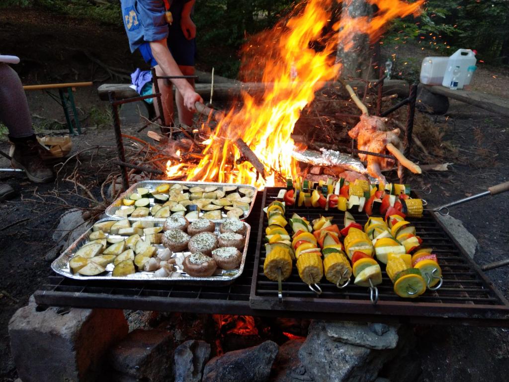 SoPro 20: Wickie und die starken Wikinger