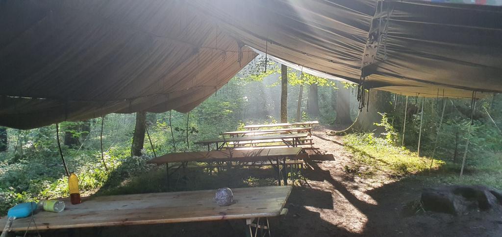 SoPro 20: Wickie und die starken Wikinger