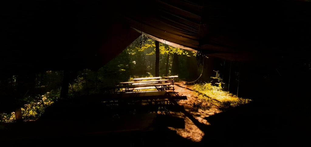 SoPro 20: Wickie und die starken Wikinger